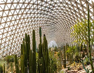 Low-Carbon Construction