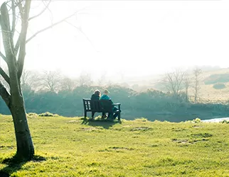 Passive Design Strategies