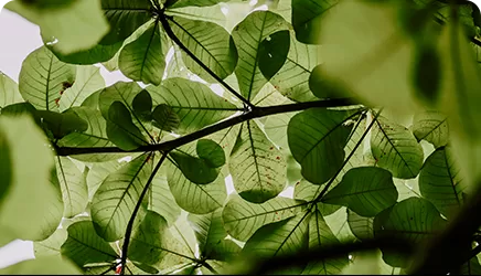 Water and Waste Management