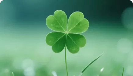 Well-being and Biodiversity